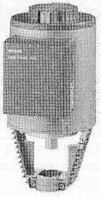 SKB1 