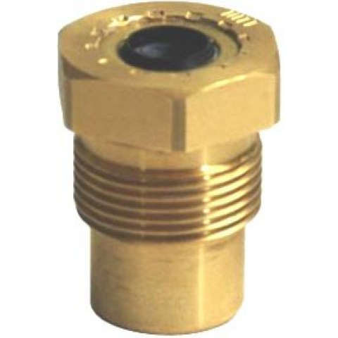 images/catalog/product/428488740