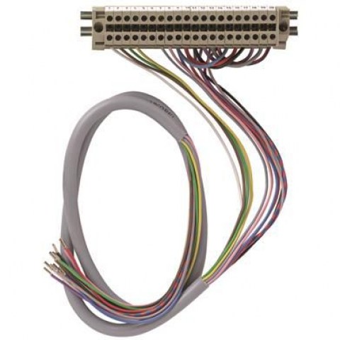 Z3I481 